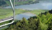 Excursión A pie Immenstadt im Allgäu - Großer Alpsee Rundwanderweg - Photo 10