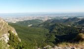 Excursión Senderismo Léoncel - Pierre Chauve - Col de Tourniol - Photo 5