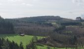 Trail Walking La Roche-en-Ardenne - rando samrée 19-03-2024 - Photo 8