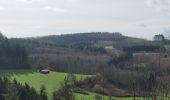 Tour Wandern La Roche-en-Ardenne - rando samrée 19-03-2024 - Photo 8