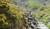 Randonnée A pied Eden - The Ullswater Way - Photo 8