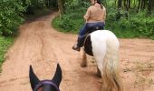 Trail Horseback riding Falck - Falck - Forêt de la Houve - Photo 3