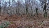 Trail Walking Chaudfontaine - gare - château des thermes /aller via les monts retour via la vesdre  - Photo 15