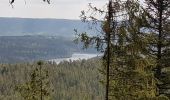 Tour Wandern Forbach - Rote Lache - Lac Schwarzenbachstausee - Badener Höhe (Rother n°39) - Photo 11