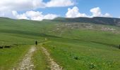 Trail Walking Tréminis - Sentier de la résistance en boucle - Photo 3
