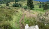 Tour Reiten Schönenberg - Acpl 2ème jour Belmont Bellefosse  - Photo 3