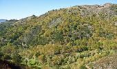 Excursión A pie Entre Ambos-os-Rios, Ermida e Germil - Trilho de Entre Ambos-os-Rios à Ermida - Photo 3