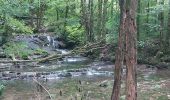 Excursión Senderismo Les Planches-près-Arbois - Cascades des Tufs et environs et plateau points de vue - Photo 15