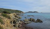 Tour Wandern La Croix-Valmer - Boucle en partant de la plage de Gigaro - Photo 16