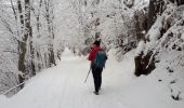 Trail Walking Seyssinet-Pariset - Plateau Charvet et cabane de Laura en circuit - Photo 4