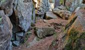 Trail Walking Fontainebleau - Sentier Denecourt 1 - Photo 2