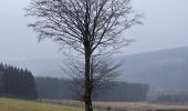 Percorso A piedi Stavelot - 1. Promenade du Lièvre - Photo 7