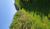 Trail On foot Stoumont - petite boucle sur Rahier - Photo 1