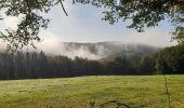 Tour Wandern Esneux - Esneux Mary . Amostrenne .Hout si Plout . Bonsgnée . La Salle . Lagrange .Rond Bati . Esneux Mary - Photo 10