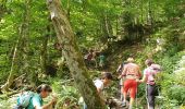 Percorso Marcia Stosswihr - rdpr gaschney - Photo 11