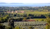 Tocht Stappen La Londe-les-Maures - SityTrail - Notre Dame des Maures-12-02-21 - Photo 4