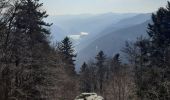 Randonnée Marche La Bresse - col de bramont - Photo 1