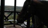 Trail Horseback riding Métairies-Saint-Quirin - rond pré baronnie kiosque point de vue  - Photo 7