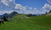 Randonnée Marche Fillière - Chalets des Auges - Photo 3