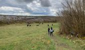 Tour Wandern West Clare Municipal District - Burren - the blue and white trains - Photo 2