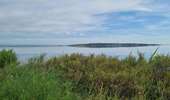 Tour Mountainbike Port-la-Nouvelle - Boucle de Bages d Aude  - Photo 9
