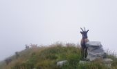 Tocht Te voet Santa Maria Maggiore - (SI E66) Alpe Cortevecchio (Rifugio Bonasson) - Bivacco Greppi - Photo 7