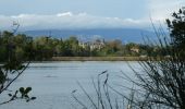 Tocht Stappen Carcassonne - Lac de Cavayère à Montirat - Photo 1