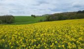 Trail Walking Dinant - Foy Notre Dame 250424 - Photo 9