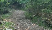 Trail Walking Albese con Cassano - Monte bolettone - Photo 18
