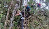 Trail Walking Carcès - SityTrail - Carces - Photo 14