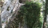 Trail Walking Mouthier-Haute-Pierre - Mouthier Haute Pierre 21 juillet 2020 CAF - Photo 1