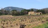 Percorso Marcia Grimaud - Grimaud - Sentier de la calade - Photo 10