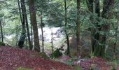 Excursión Senderismo Cros - Le pont du diable, en p1rtant du gîte aux milles fleurs - Photo 12