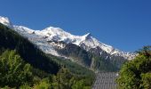 Percorso Marcia Chamonix-Mont-Blanc - Cascade du Dard Glacier du Bosson - Photo 1