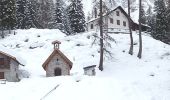 Randonnée A pied Forni di Sopra - Anello di Bianchi - Photo 1