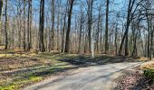 Tocht Stappen Compiègne - en forêt de Compiègne_47_autour des Beaux Monts - Photo 13