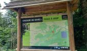 Trail Walking Curières - Le Devez cascade et forêts  - Photo 1