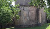 Excursión A pie Sales de Llierca - L'Alta Garrotxa de Vayreda - Photo 9