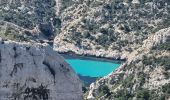 Randonnée Marche Marseille - 2023-04-16 Calanques de Sormiou et de Sugiton - Photo 6