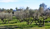 Percorso A piedi Cabasse - SityTrail - Autour de Cabasse - Photo 7