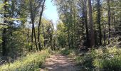 Tocht Stappen Saint-Vit - saint vit - velesmes-essarts /  autour du bois des saussottes - Photo 10