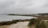 Tour Wandern Leucate - mon sentier des pêcheurs  - Photo 12