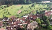 Tour Zu Fuß Birkenhördt - Birkenhördter Mösigweg - Photo 5