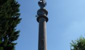 Excursión A pie Argenthal - Traumschleife Schanzerkopf-Tour - Photo 2