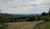 Excursión Senderismo Porte des Pierres Dorées - Jarnioux / 15 km - Photo 8