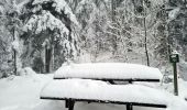 Percorso Racchette da neve Gerbépal - 20201230_12km_424m_ColMartimpré-ChaletPreux - Photo 3