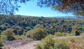 Tour Wandern Villes-sur-Auzon - entre Auzon et le GR du massif du Ventoux - Photo 4