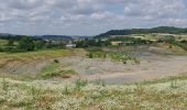 Randonnée A pied Mistelgau - Mistelgau Rundwanderweg 