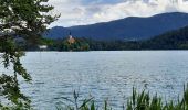 Trail Walking Bled - bled - tour du lac - Photo 19
