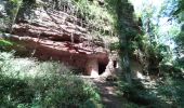 Tour Wandern Philippsburg - Étang de Hanau / Circuit de découverte  - Photo 7